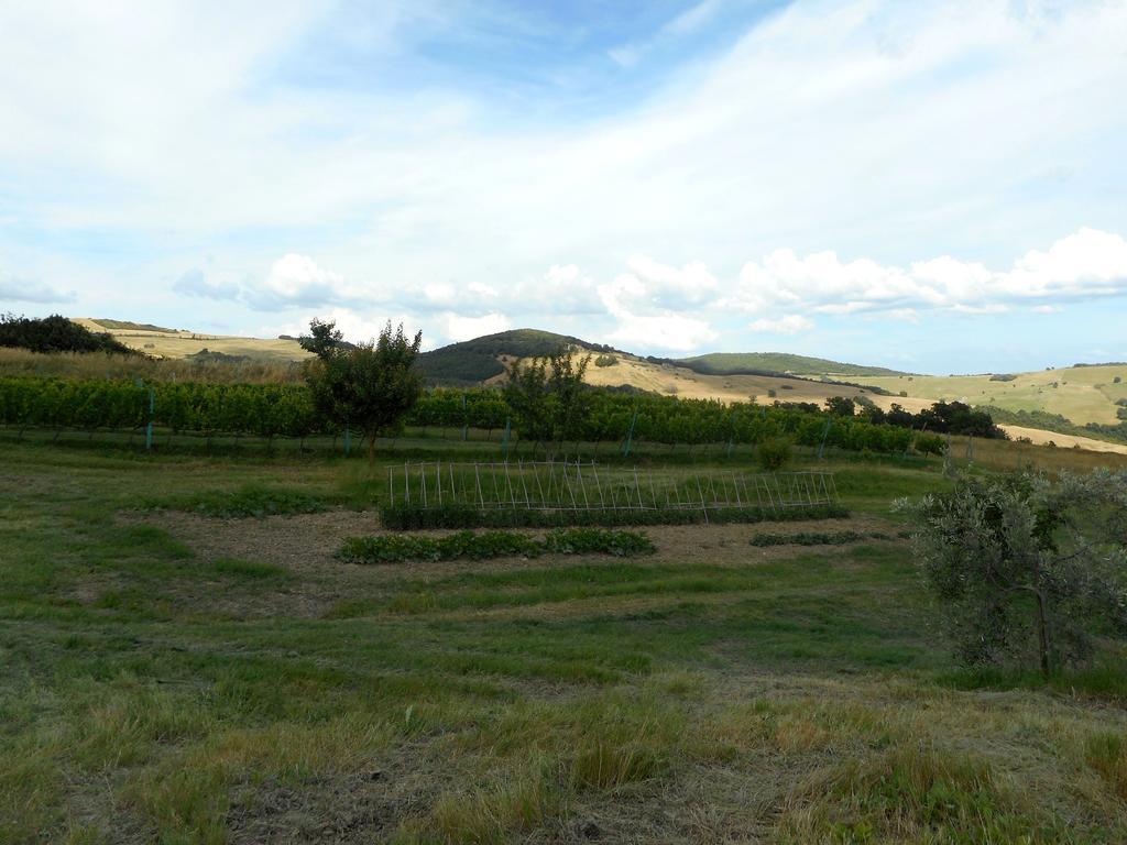 Agriturismo Santa Bruna Вольтерра Екстер'єр фото