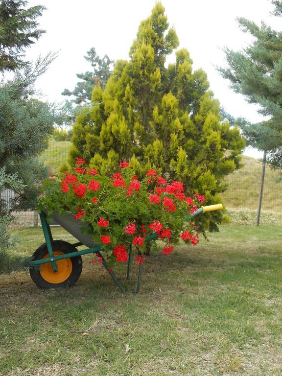 Agriturismo Santa Bruna Вольтерра Екстер'єр фото