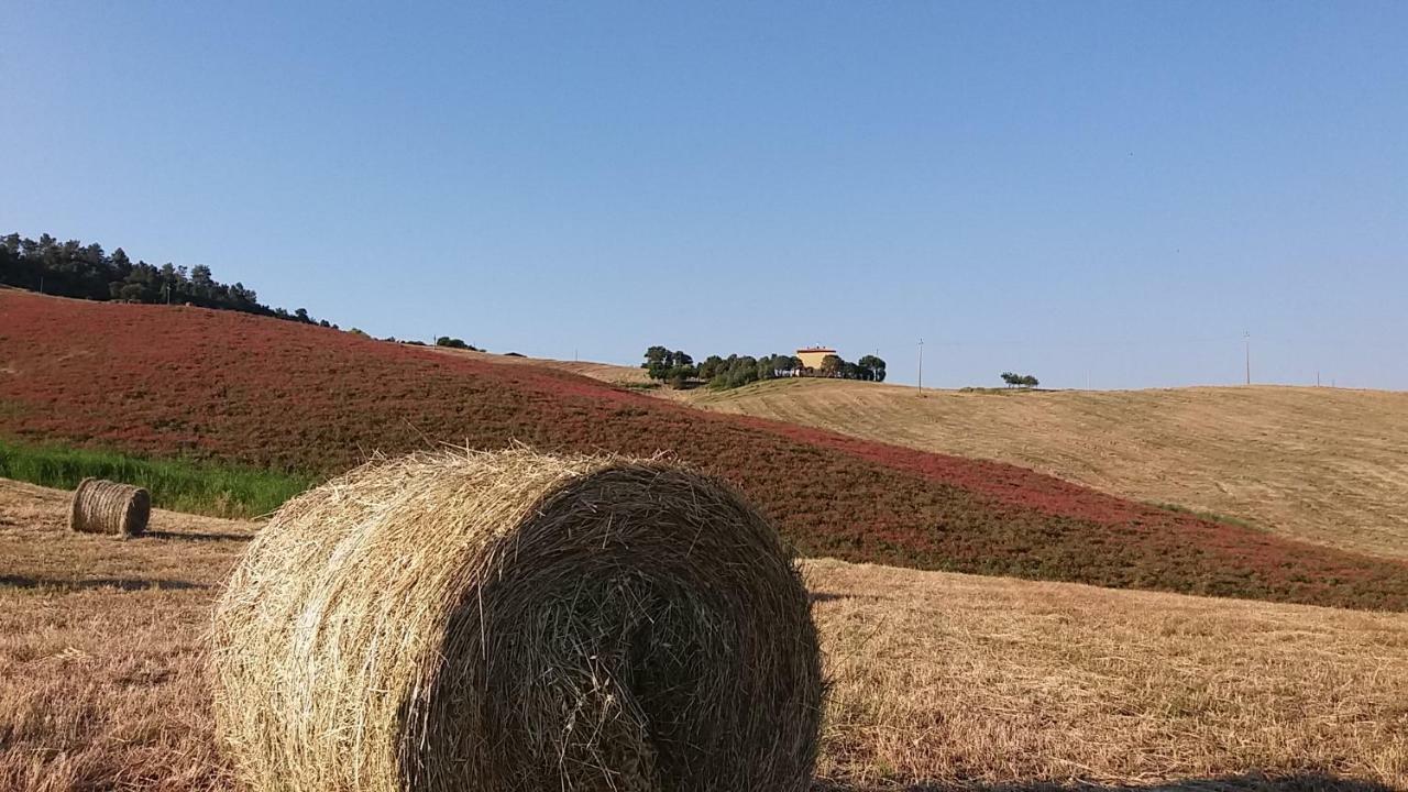 Agriturismo Santa Bruna Вольтерра Екстер'єр фото
